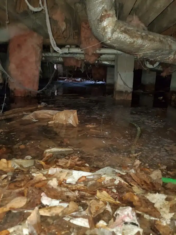 Crawl space flood assessment for Leak Detection & Repair in Trinity