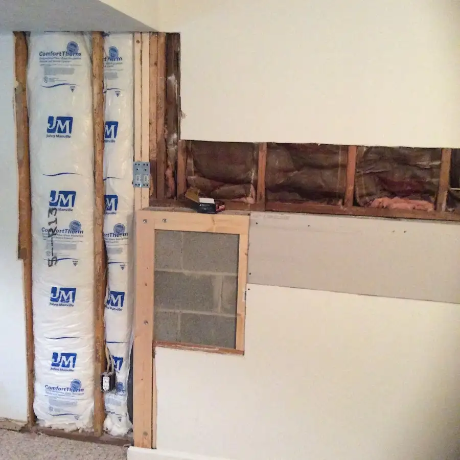 Wall insulation replacement during Odor Removal & Deodorization in Trinity